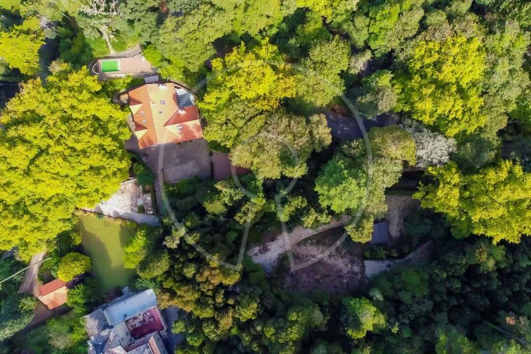 Moradia T7 para Venda em Santa Maria e São Miguel, São Martinho, São Pedro Penaferrim Foto 48