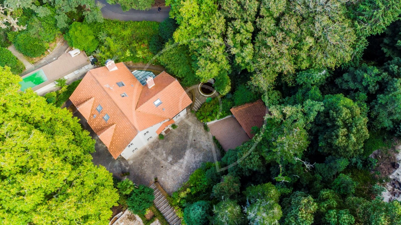 Moradia T7 para Venda em Santa Maria e São Miguel, São Martinho, São Pedro Penaferrim Foto 50