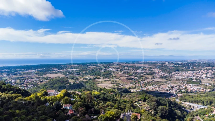 Moradia T7 para Venda em Santa Maria e São Miguel, São Martinho, São Pedro Penaferrim Foto 5