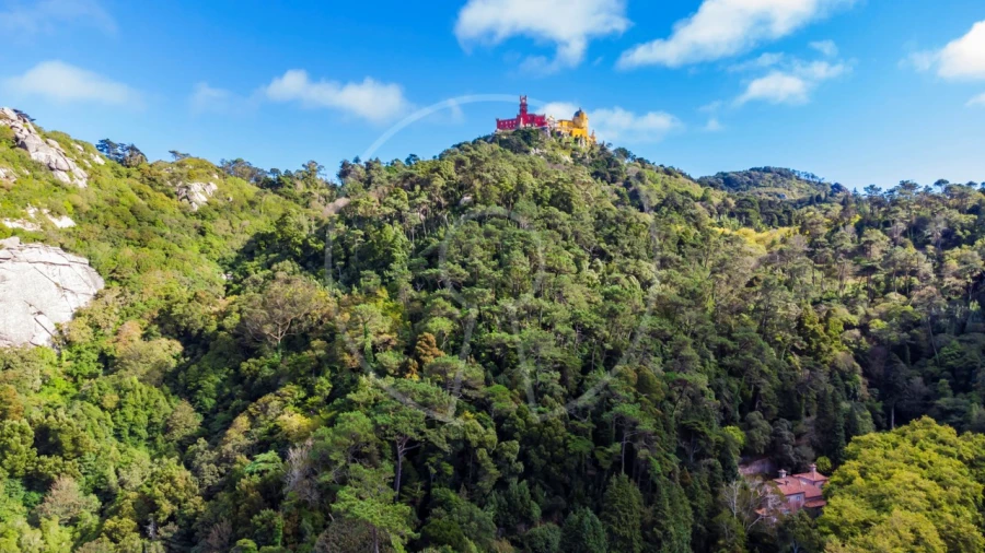 Moradia T7 para Venda em Santa Maria e São Miguel, São Martinho, São Pedro Penaferrim Foto 7