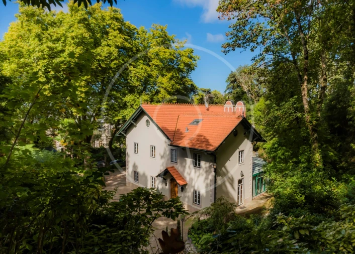 Moradia T7 para Venda em Santa Maria e São Miguel, São Martinho, São Pedro Penaferrim Foto 37