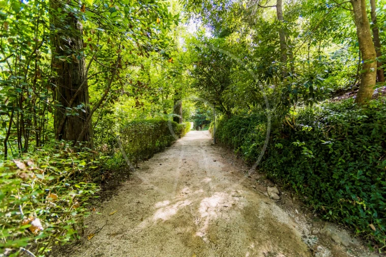 Moradia T7 para Venda em Santa Maria e São Miguel, São Martinho, São Pedro Penaferrim Foto 38