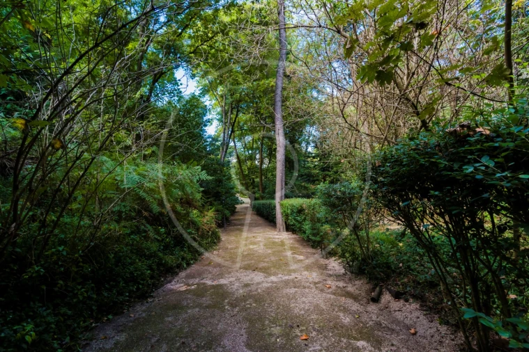 Moradia T7 para Venda em Santa Maria e São Miguel, São Martinho, São Pedro Penaferrim Foto 43