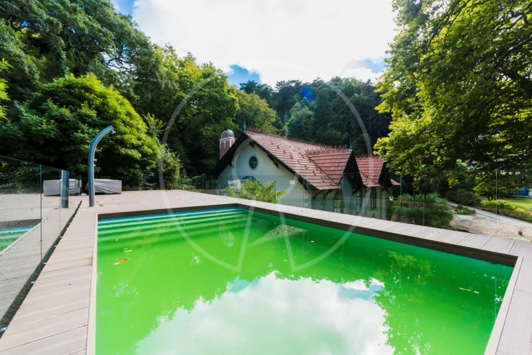 Moradia T7 para Venda em Santa Maria e São Miguel, São Martinho, São Pedro Penaferrim Foto 45