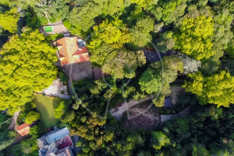 Moradia T7 para Venda em Santa Maria e São Miguel, São Martinho, São Pedro Penaferrim Foto 48