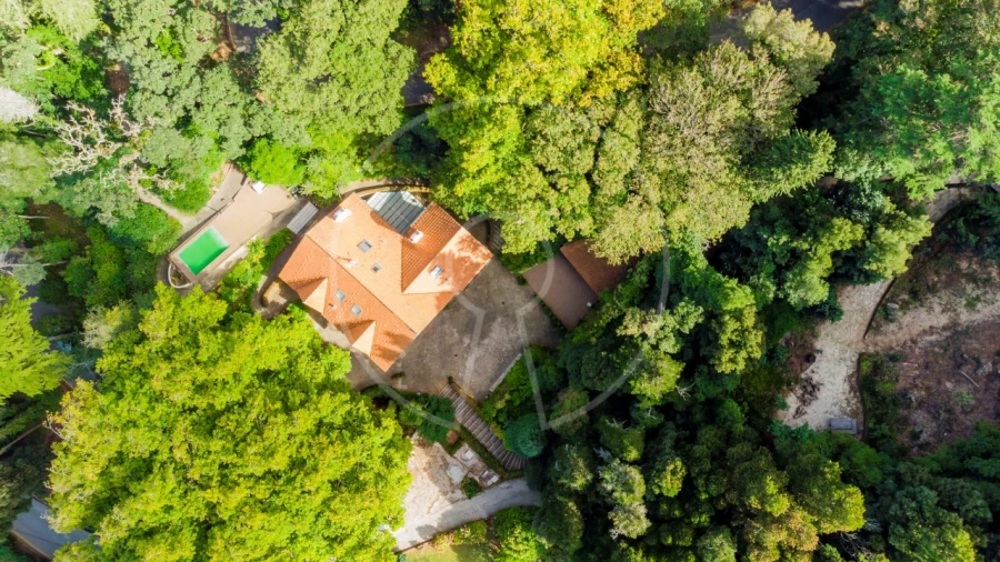 Moradia T7 para Venda em Santa Maria e São Miguel, São Martinho, São Pedro Penaferrim Foto 49