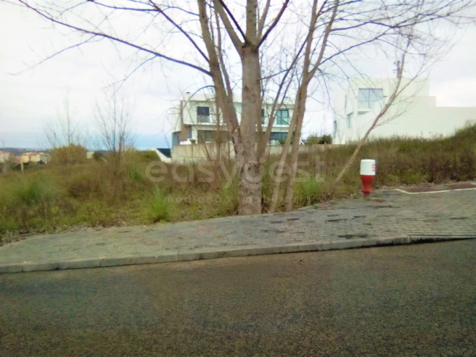 Terreno para Venda em Torres Novas (Santa Maria, Salvador e Santiago) Foto 1