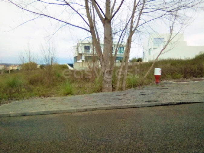 Terreno para Venda em Torres Novas (Santa Maria, Salvador e Santiago) Foto 1
