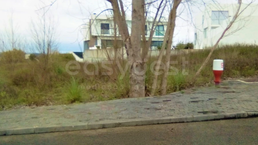 Terreno para Venda em Torres Novas (Santa Maria, Salvador e Santiago)