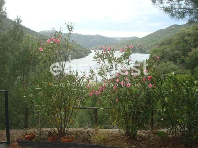 Quinta T2 para Venda em Ligares Foto 3