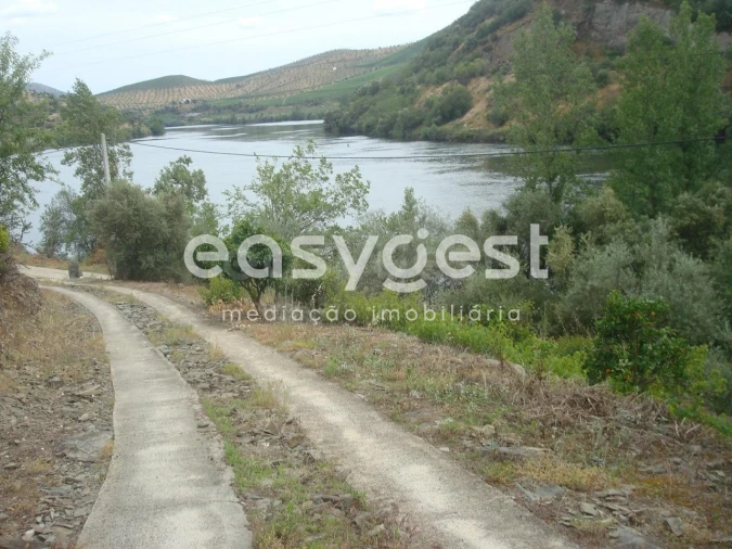 Quinta T2 para Venda em Ligares Foto 7