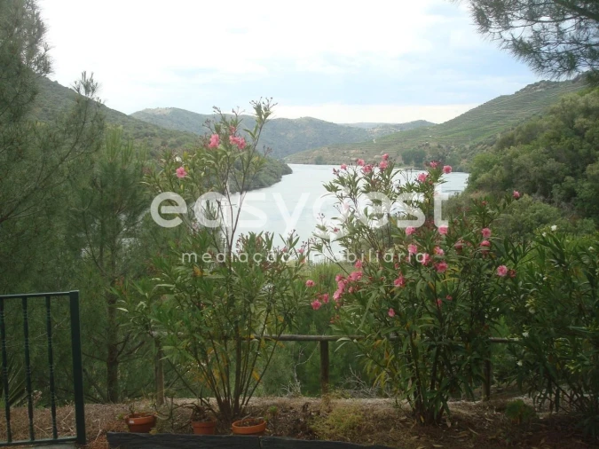 Quinta T2 para Venda em Ligares Foto 9