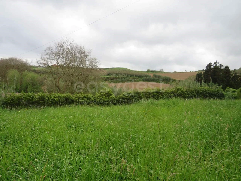 Terreno Agricola ou Rústico para Venda em Pilar da Bretanha Foto 3