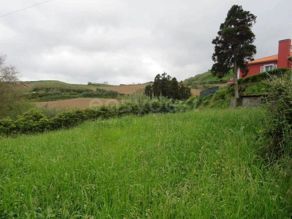 Terreno Agricola ou Rústico para Venda em Pilar da Bretanha Foto 4