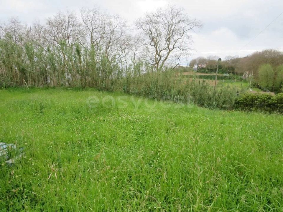 Terreno Agricola ou Rústico para Venda em Pilar da Bretanha Foto 5