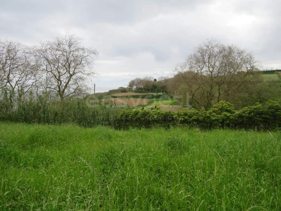 Terreno Agricola ou Rústico para Venda em Pilar da Bretanha Foto 8