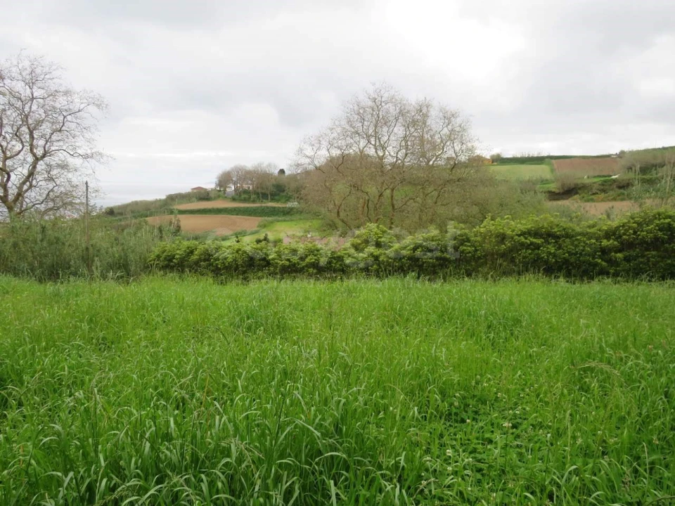Terreno Agricola ou Rústico para Venda em Pilar da Bretanha Foto 12