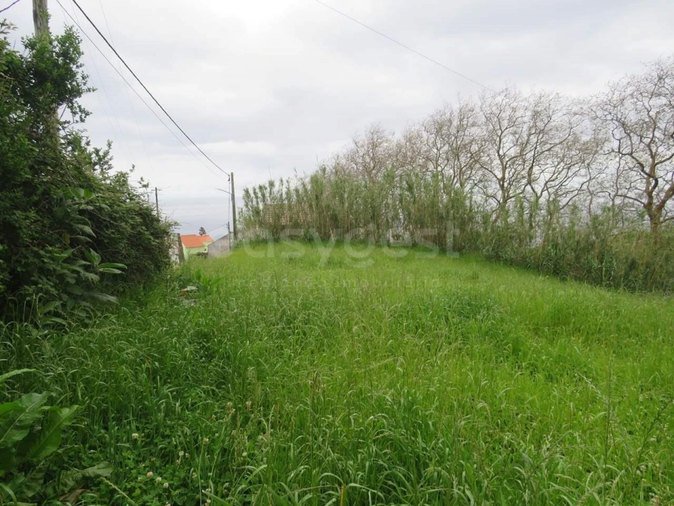 Terreno Agricola ou Rústico para Venda em Pilar da Bretanha Foto 13