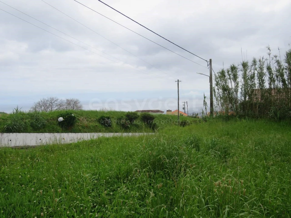 Terreno Agricola ou Rústico para Venda em Pilar da Bretanha Foto 15