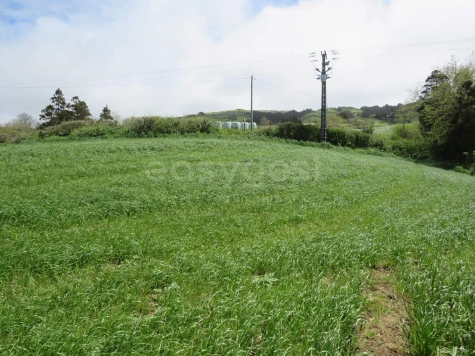 Terreno Agricola ou Rústico para Venda em Pilar da Bretanha Foto 2