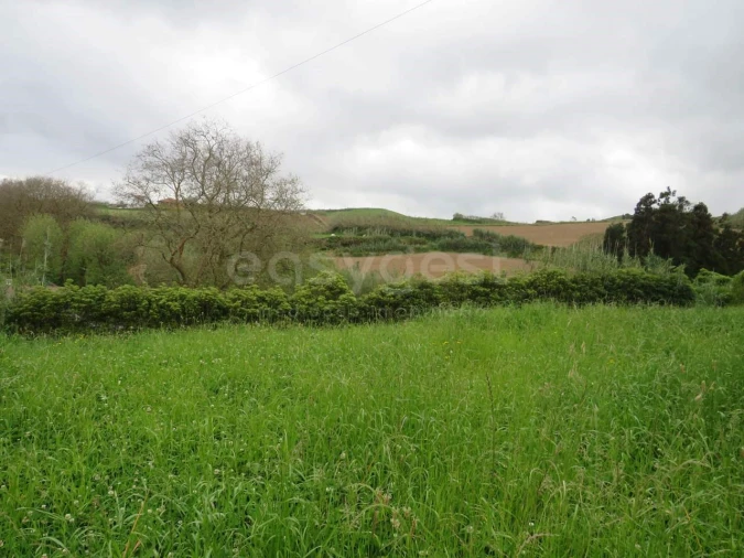 Terreno Agricola ou Rústico para Venda em Pilar da Bretanha Foto 3