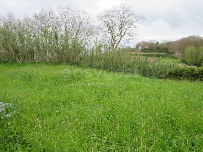 Terreno Agricola ou Rústico para Venda em Pilar da Bretanha Foto 5