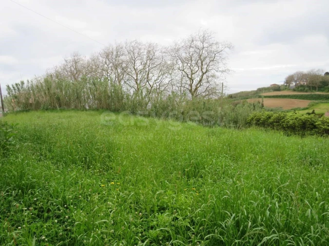 Terreno Agricola ou Rústico para Venda em Pilar da Bretanha Foto 11