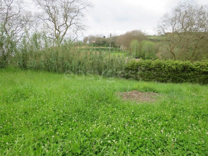 Terreno Agricola ou Rústico para Venda em Pilar da Bretanha Foto 14