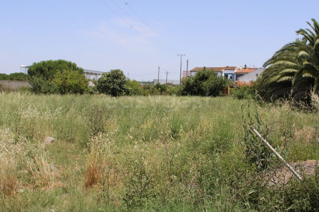 Terreno Misto para Venda em Aveiras de Cima Foto 2