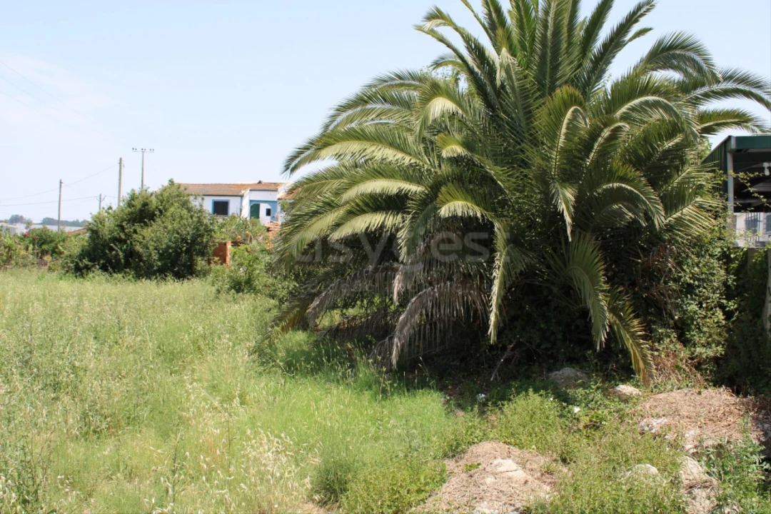 Terreno Misto para Venda em Aveiras de Cima Foto 4