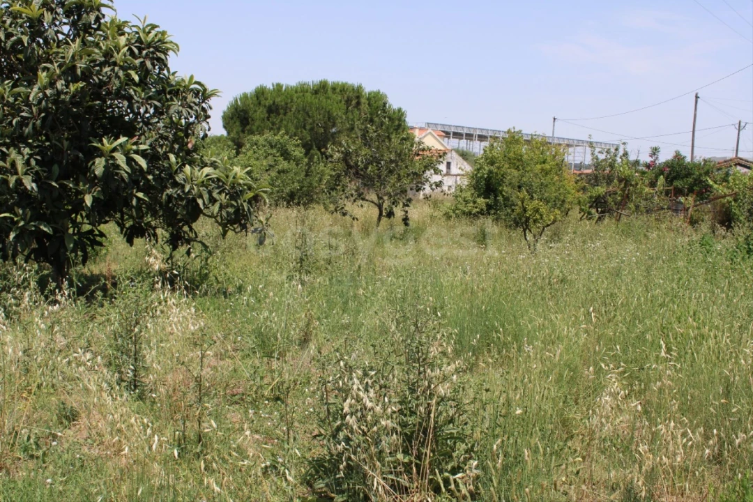 Terreno Misto para Venda em Aveiras de Cima Foto 8