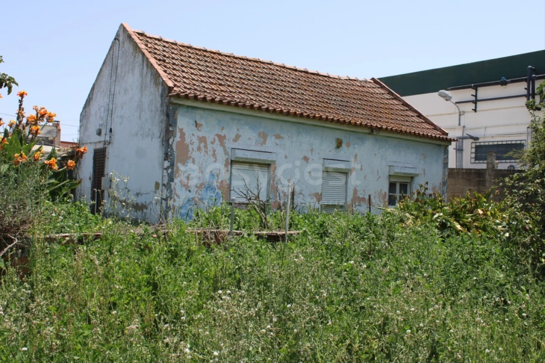 Terreno Misto para Venda em Aveiras de Cima Foto 9