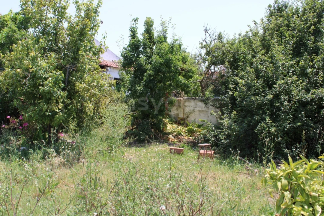 Terreno Misto para Venda em Aveiras de Cima Foto 11