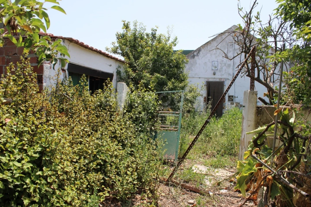 Terreno Misto para Venda em Aveiras de Cima Foto 17
