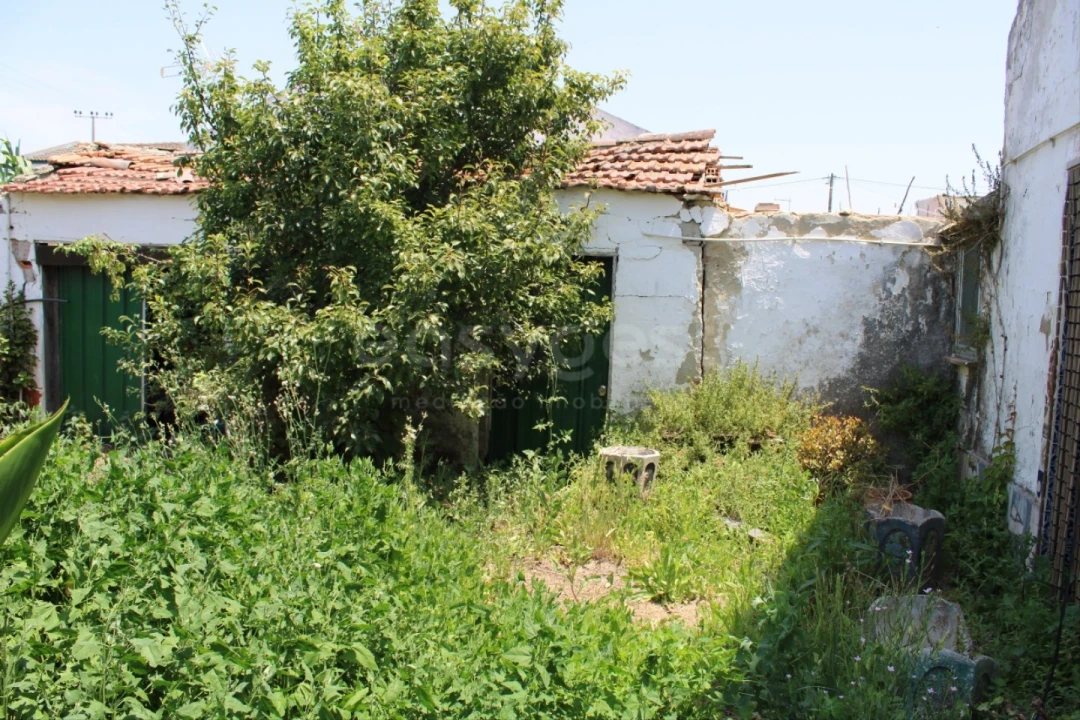 Terreno Misto para Venda em Aveiras de Cima Foto 19