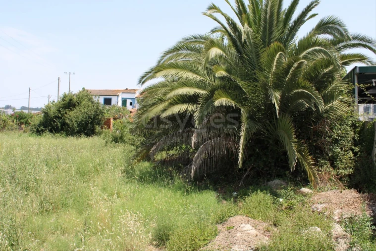 Terreno Misto para Venda em Aveiras de Cima Foto 4