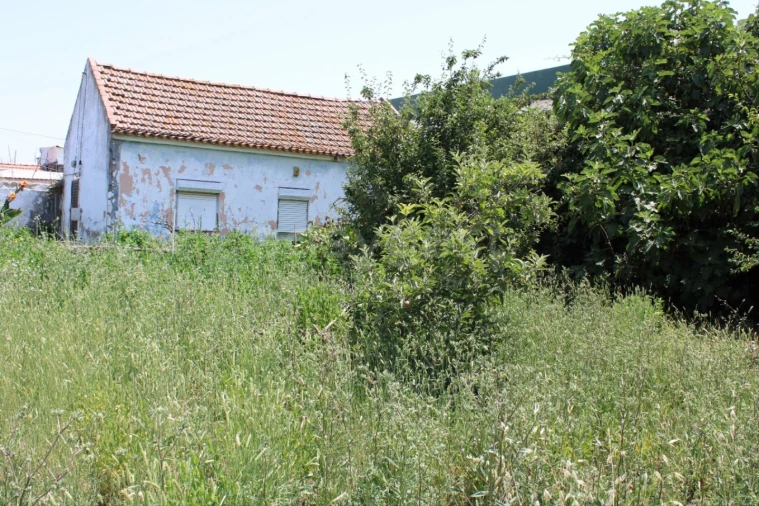 Terreno Misto para Venda em Aveiras de Cima Foto 7