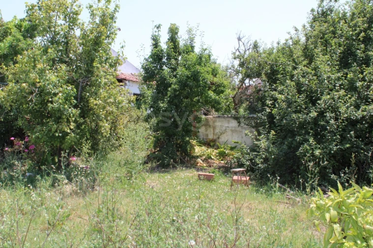 Terreno Misto para Venda em Aveiras de Cima Foto 10