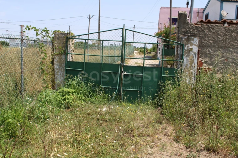 Terreno Misto para Venda em Aveiras de Cima Foto 13