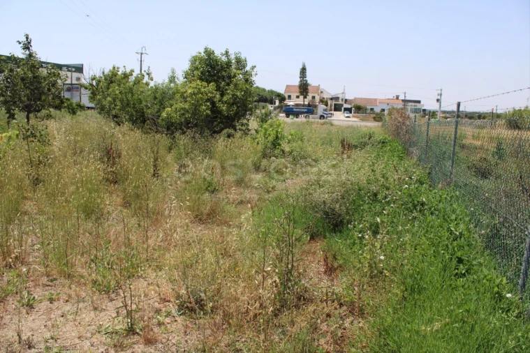 Terreno Misto para Venda em Aveiras de Cima Foto 15