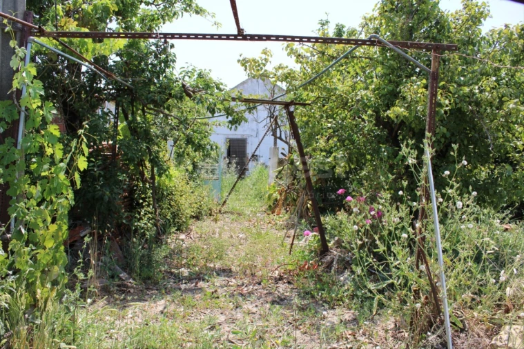 Terreno Misto para Venda em Aveiras de Cima Foto 16