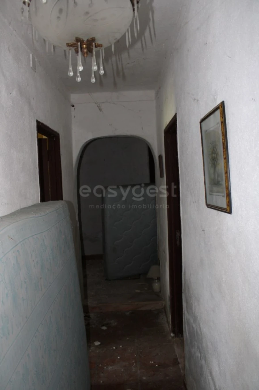 Terreno Misto para Venda em Aveiras de Cima Foto 27