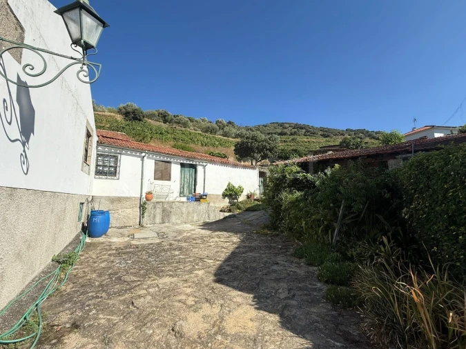 Quinta T5 para Venda em Vila Nova de Foz Côa Foto 5