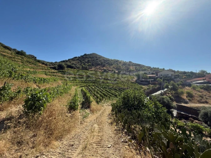 Quinta T5 para Venda em Vila Nova de Foz Côa Foto 20