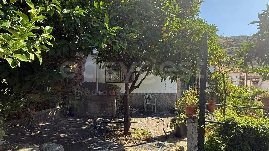 Imagem imóvel
