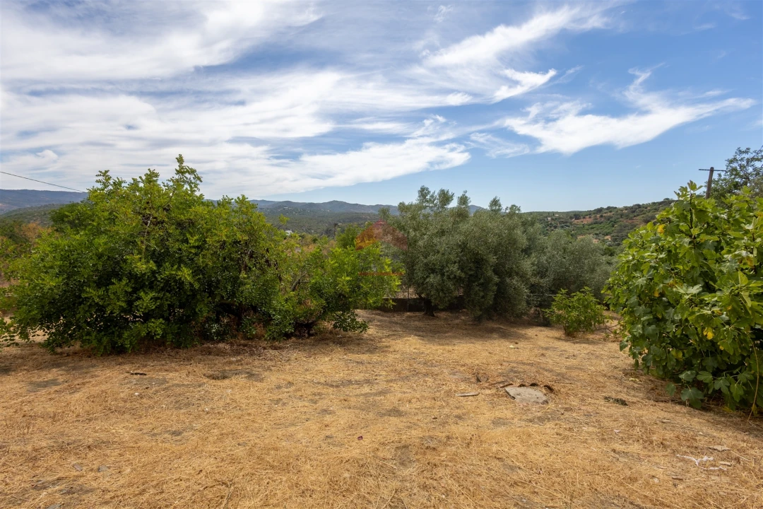 Moradia T3 para Venda em Salir Foto 30