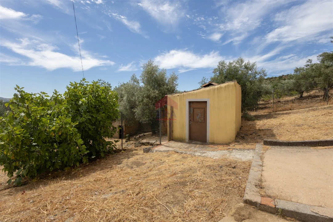 Moradia T3 para Venda em Salir Foto 26