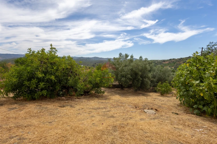 Moradia T3 para Venda em Salir Foto 30