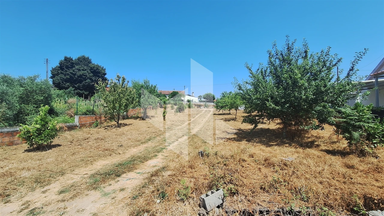 Terreno para Venda em Treixedo e Nagozela Foto 1