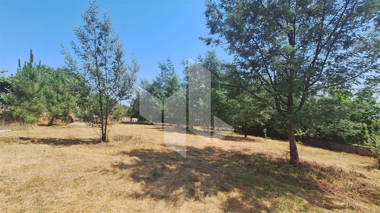 Terreno para Venda em Treixedo e Nagozela Foto 8